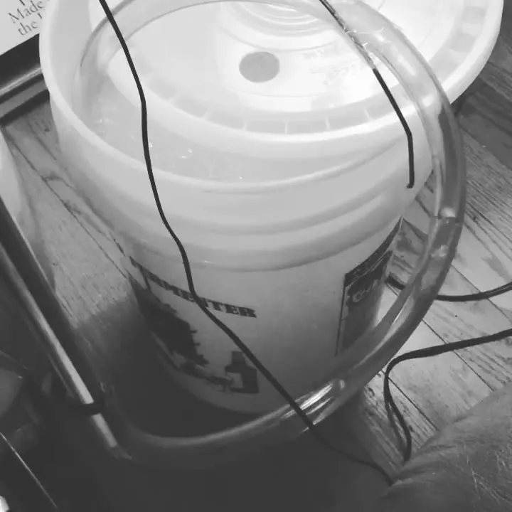 Archive video of wort fermenting hours after pitching yeast · 2016